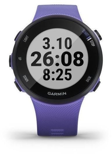 Smartwatch Garmin Forerunner 45S Iris