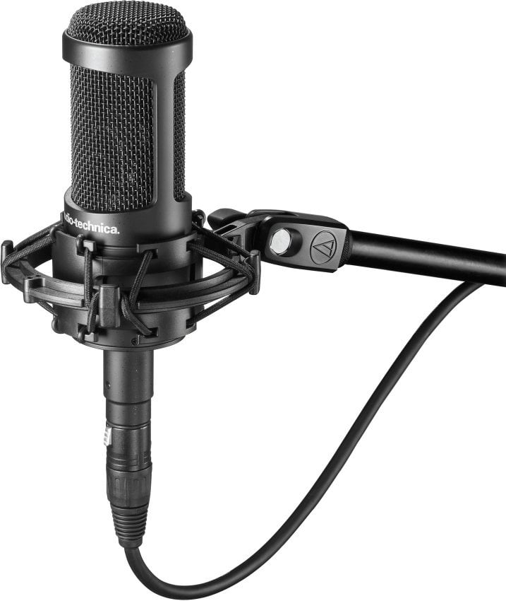 Microfono a Condensatore da Studio Audio-Technica AT 2050 Microfono a Condensatore da Studio