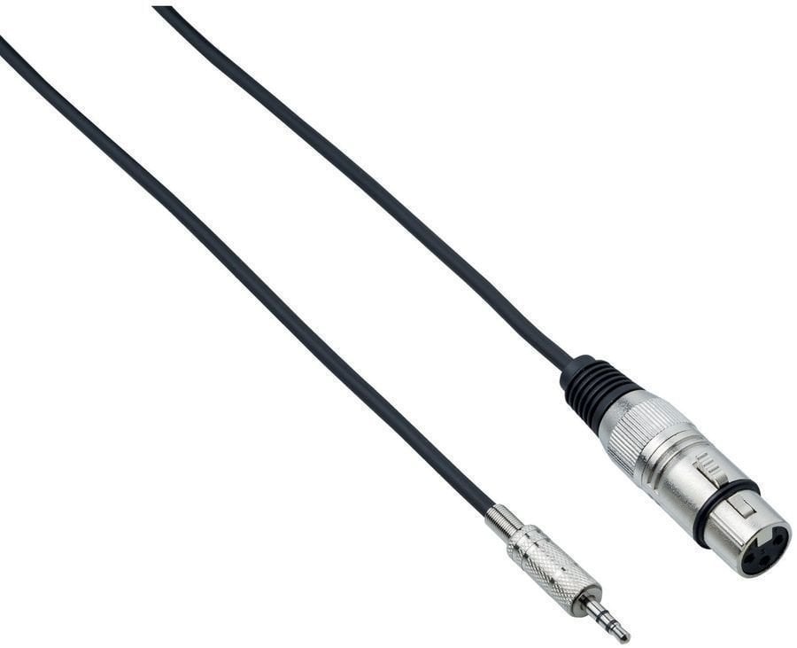 Audio kabel Bespeco EAMC300 3 m Audio kabel