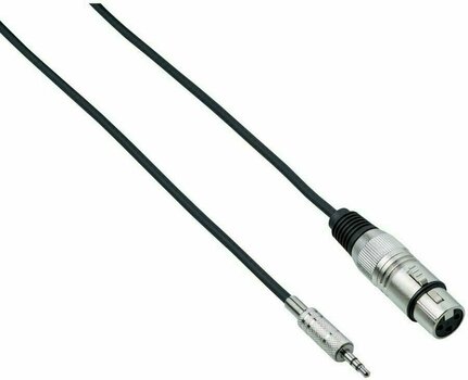 Audio Cable Bespeco EAMC300 3 m Audio Cable - 1
