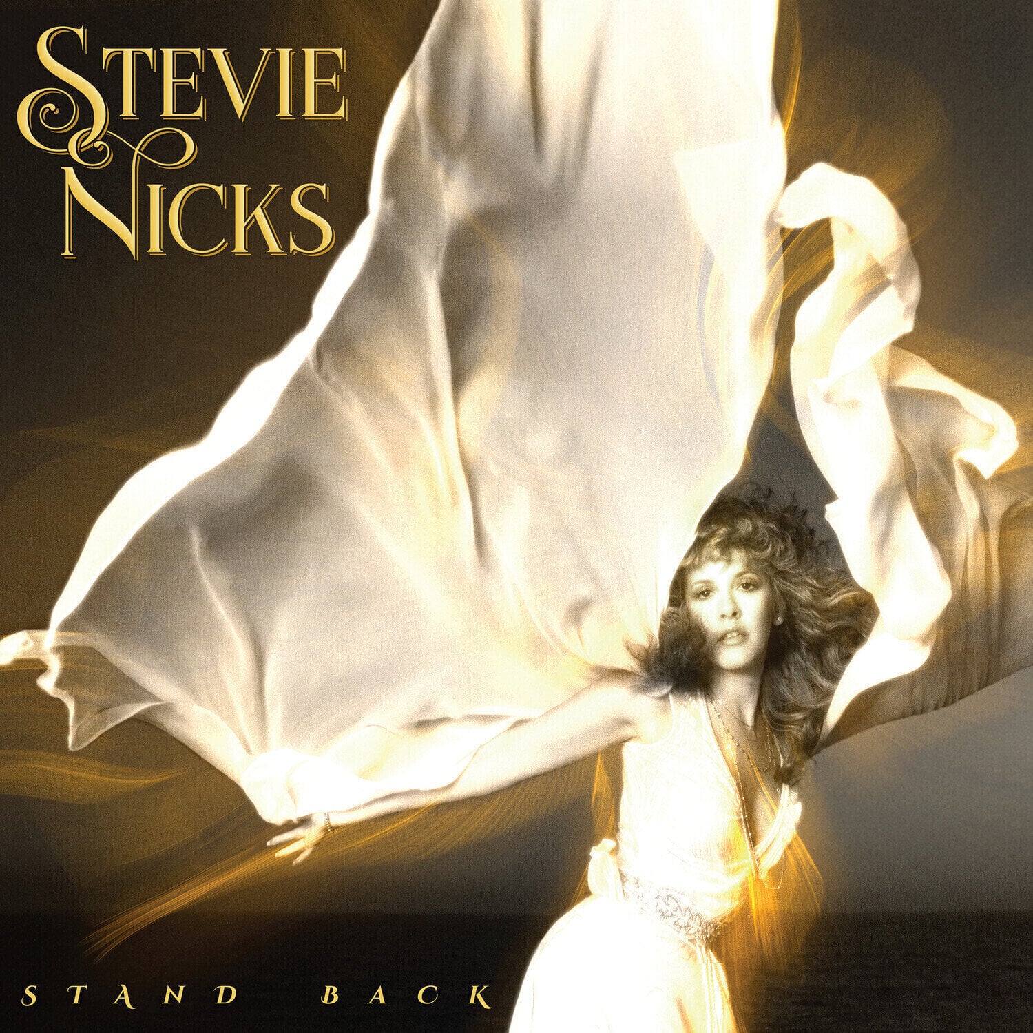 Vinyl Record Stevie Nicks - Stand Back (Remastered) (2 LP)