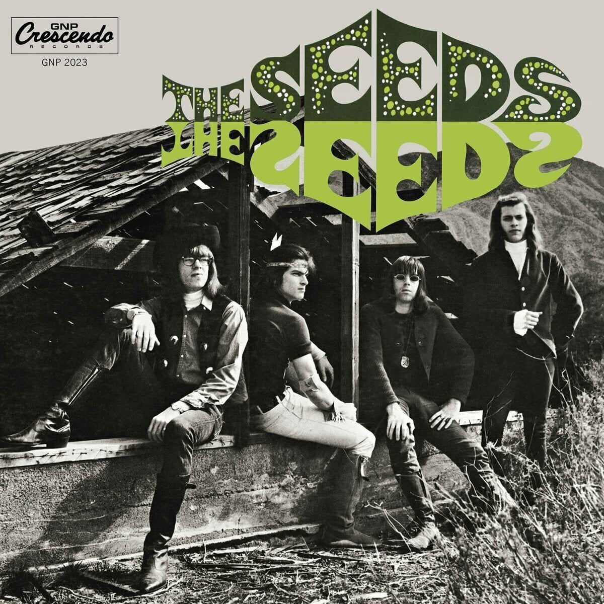LP deska The Seeds - The Seeds (180 g) (LP)
