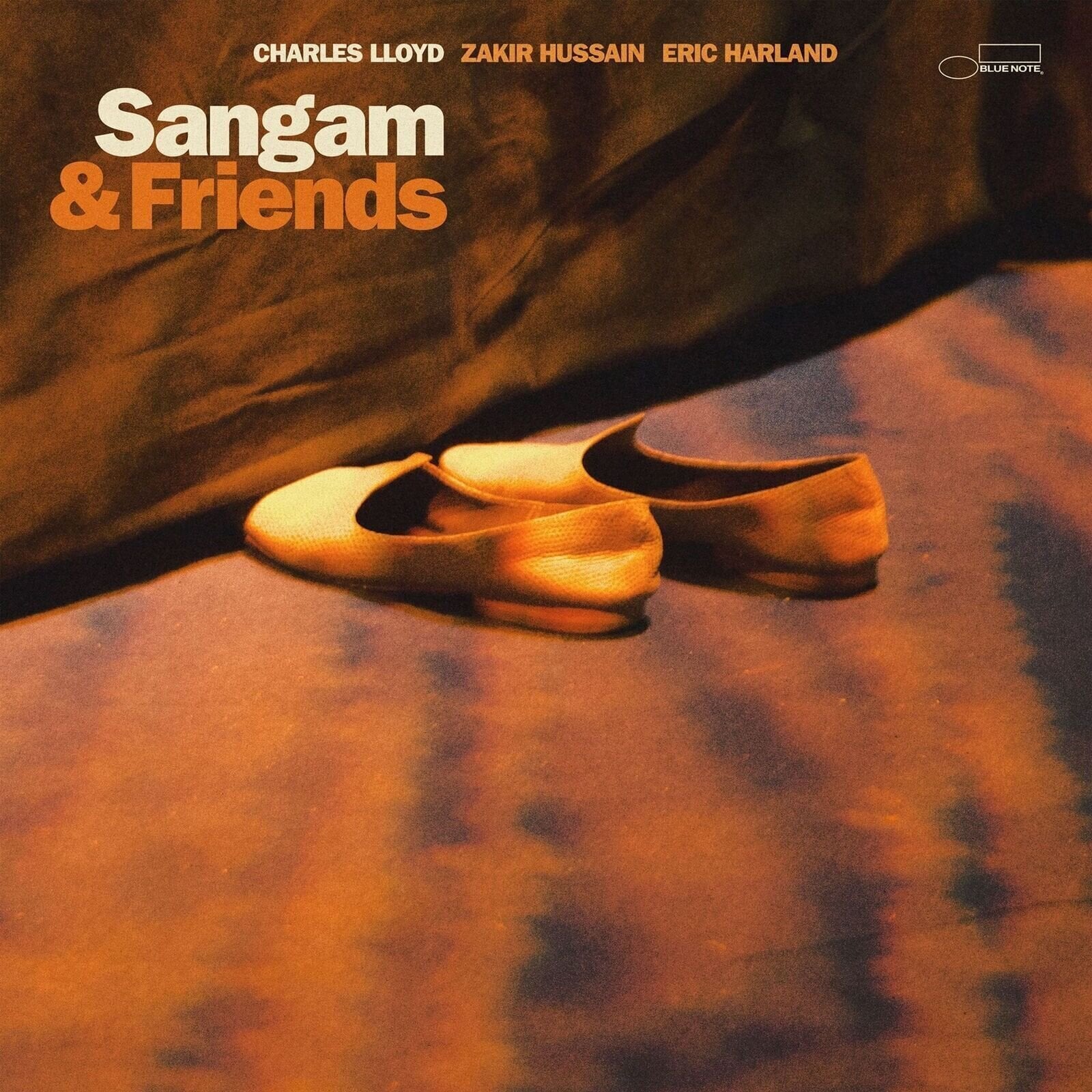 Schallplatte Charles Lloyd - Sangam & Friends (LP)
