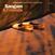 Schallplatte Charles Lloyd - Sangam & Friends (LP)