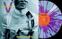 Vinüülplaat The Vandals - Fear Of A Punk Planet (Blue Purple Splatter Coloured) (LP)