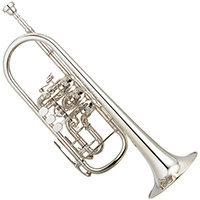 Trumpet with rotary valves Yamaha YTR 946 S