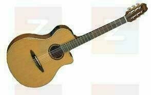 Yamaha APX 5 NA - Muziker