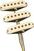Pastilla individual Fender Custom Shop Tomatillo Stratocaster Set Aged White Pastilla individual