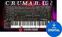 VST Instrument CA Plugins Crumar DS-2 Synthesizer (Digital produkt)