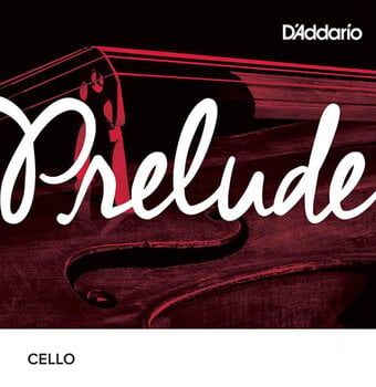 Struny pro violončelo D'Addario J1013 1/4M G 1/4 Struny pro violončelo - 1