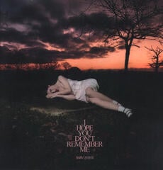 Vinyl Record Baby Queen - I Hope You Don't Remember Me (LP)