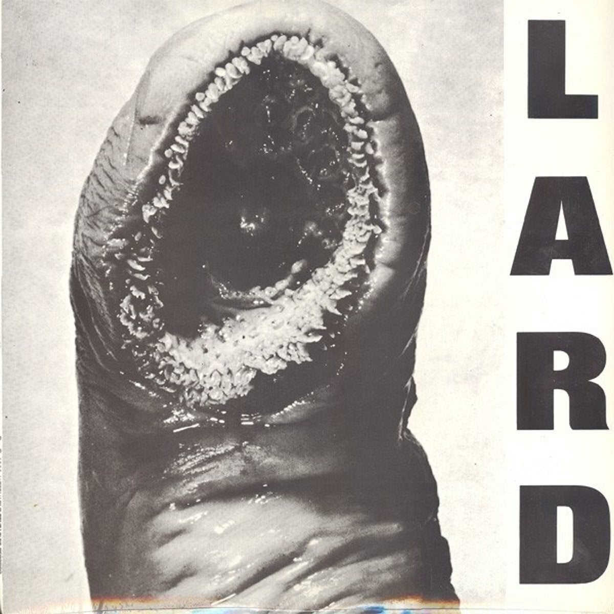 Hanglemez Lard - Power Of Lard (Reissue) (White Coloured) (12" EP)