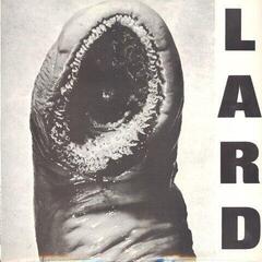 Hanglemez Lard - Power Of Lard (Reissue) (White Coloured) (12" EP)