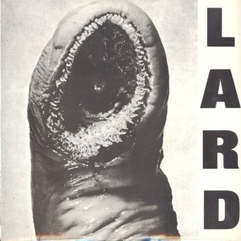 Hanglemez Lard - Power Of Lard (Reissue) (White Coloured) (12" EP) - 1