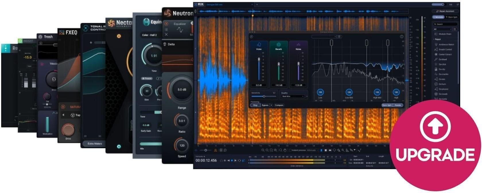 Update / Upgrade / Expansion iZotope RX PPS 9: UPD from RX PPS 1-8.6 (Prodotto digitale)