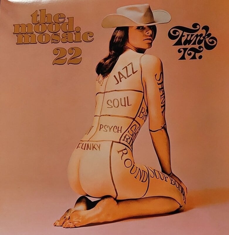 Vinila plate Various Artists - The Mood Mosaic 22 - Funk It. (2 LP)