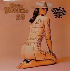 Vinila plate Various Artists - The Mood Mosaic 22 - Funk It. (2 LP)