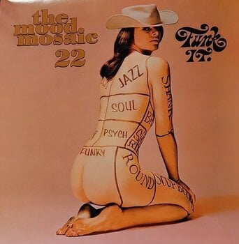 Vinila plate Various Artists - The Mood Mosaic 22 - Funk It. (2 LP) - 1