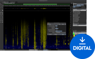 Mastering software Steinberg SpectraLayers Pro 13 Full Version (Digital product)