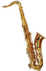 Victory VTS STUDENT Lacquer