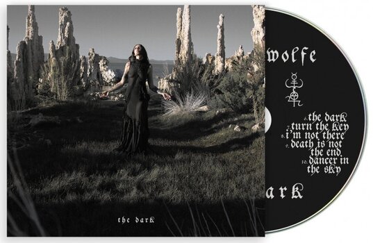 Glasbene CD Chelsea Wolfe - The Dark (CD) - 1