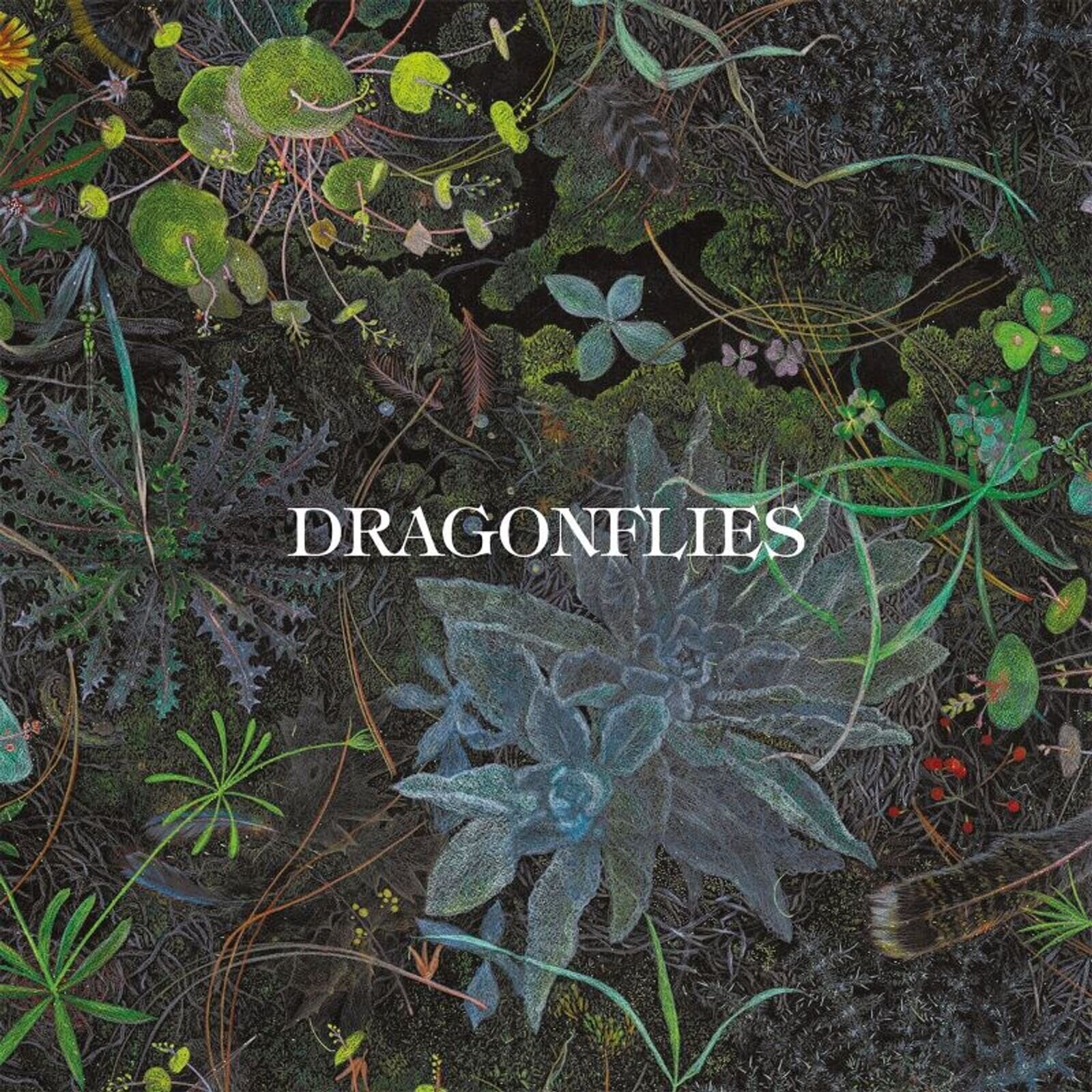 Musik-cd The Dragonflies - Dragonflies (CD)