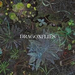 Music CD The Dragonflies - Dragonflies (CD)