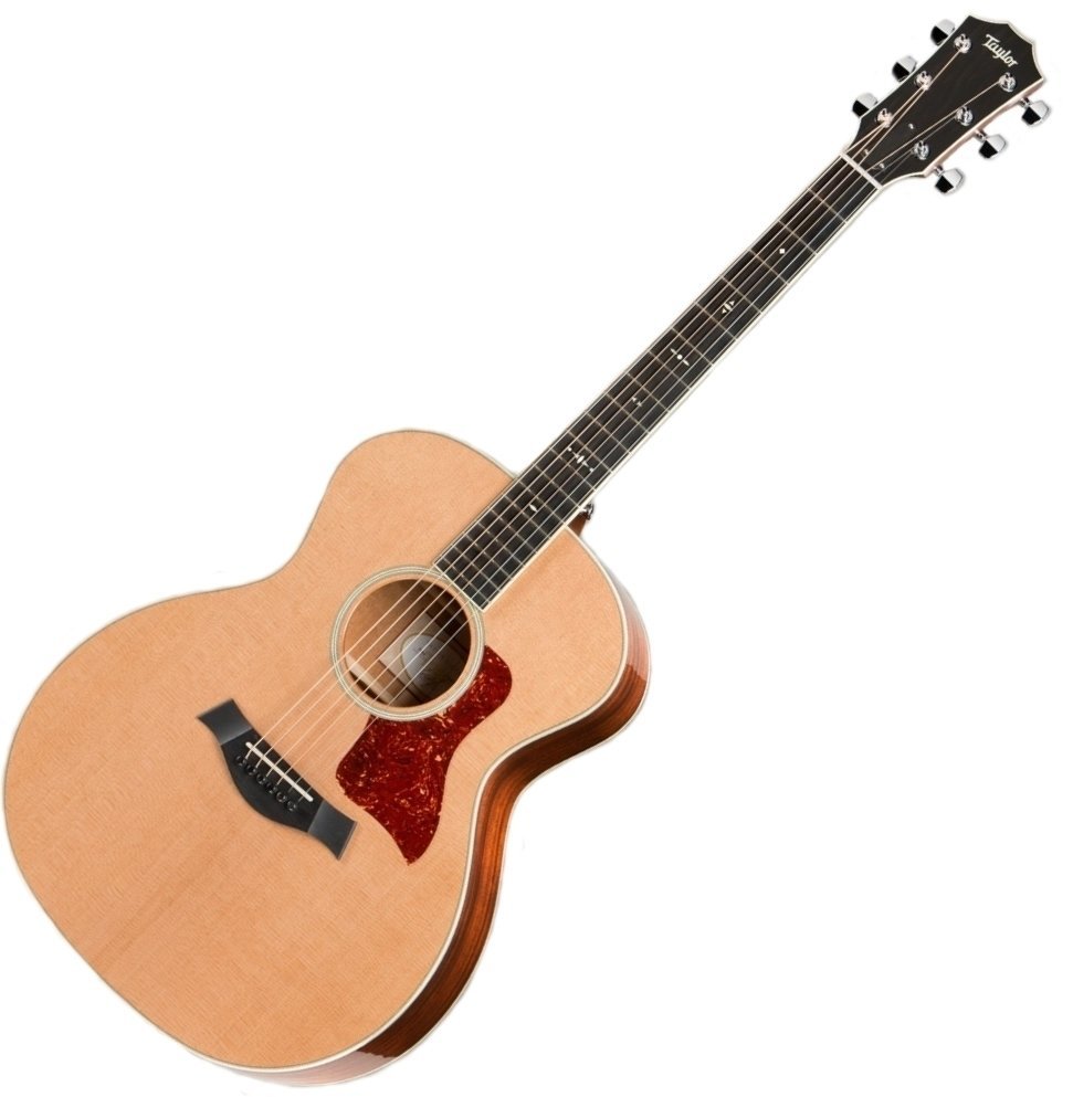 electro-acoustic guitar Taylor Guitars 514e Grand Auditorium