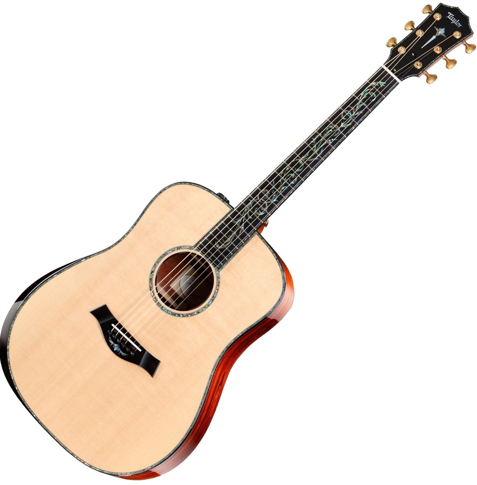 Dreadnought elektro-akoestische gitaar Taylor Guitars PS10e Presentation Dreadnought Cocobolo Natural