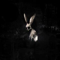 Schallplatte Ghøstkid - Follow The White Rabbit (Neon Pink Coloured) (LP)