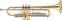 Bb trobenta Jupiter JTR701Q Bb Trumpet, brass, lacquered, nickel silver mouthpiece Bb trobenta