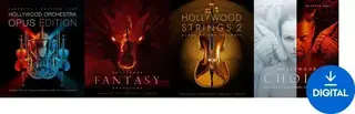VST Instrument EastWest Sounds EASTWEST HOLLYWOOD COLLECTION (Produto digital)