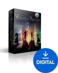 VST Instrument EastWest Sounds SYMPHONIC ORCHESTRA AND HOLLYWOOD CHOIRS (Дигитален продукт)
