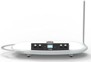 MOOG Etherwave Theremini