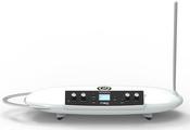 MOOG Etherwave Theremini