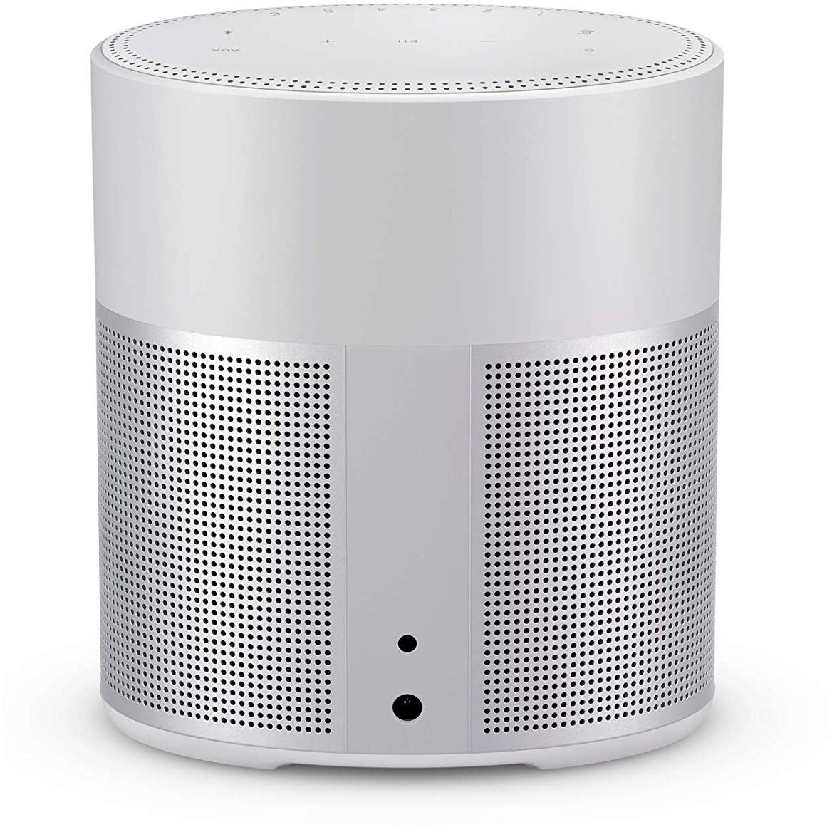 Bose Home Speaker 300 Silver - Muziker