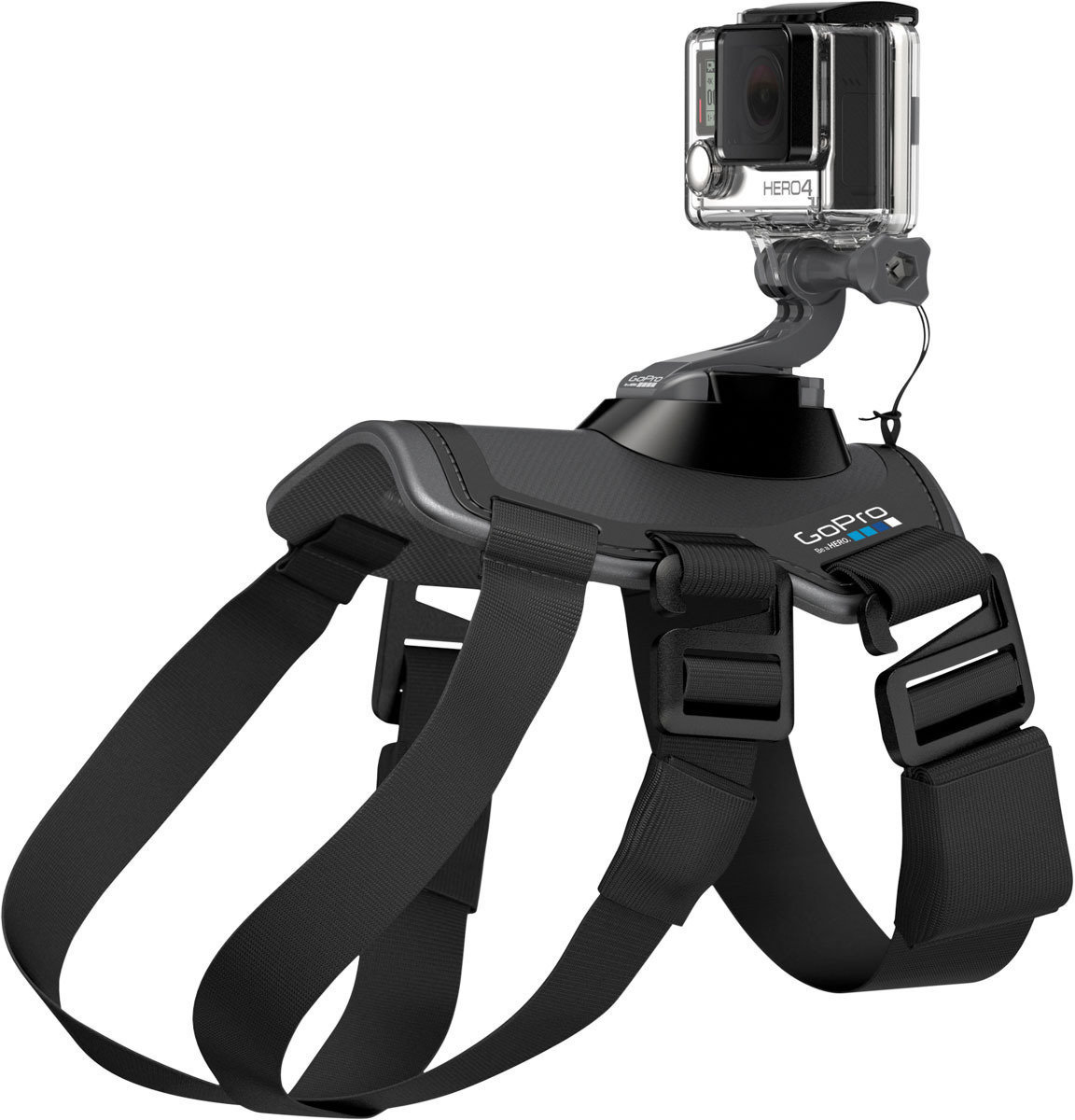 GoPro-accessoires GoPro Fetch