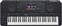 Clavier professionnel Yamaha PSR-SX900