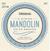 Mandoline Strings D'Addario EJ62