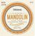 Mandoline Strings D'Addario EFT74