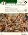 Note Schott Renaissance Recorder Anthology Note