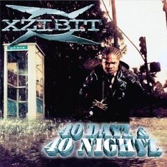 Vinyylilevy Xzibit - 40 Dayz & 40 Nightz (2 LP)