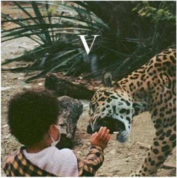 Vinyylilevy Unknown Mortal Orchestra - 5 (2 LP) - 1