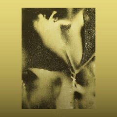 Vinyl Record Flying Lotus - 1983 (Reissue) (LP)