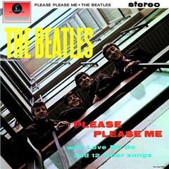 Vinyl Record The Beatles - Please Please Me (LP)