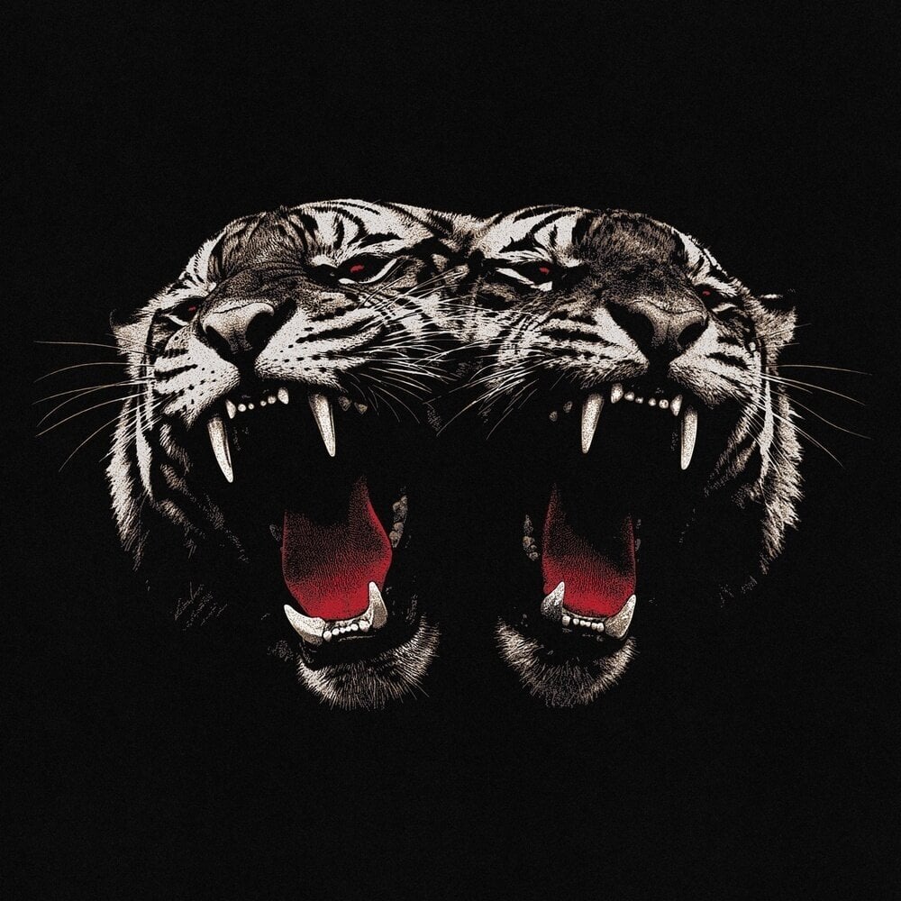 Schallplatte Royal Blood - Dead Company (140 g) (LP)