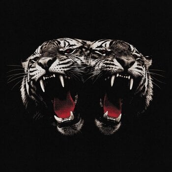 Schallplatte Royal Blood - Dead Company (140 g) (LP) - 1