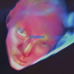 Vinyylilevy Fontaines D.C. - Dopamine Chamber (LP)