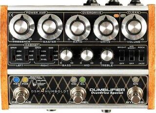 Preamp/Rack Amplifier DSM & Humboldt Dumblifier Special Preamp/Rack Amplifier