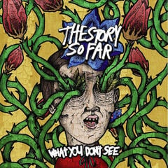 Schallplatte The Story So Far - What You Don't See (Coloured) (LP)